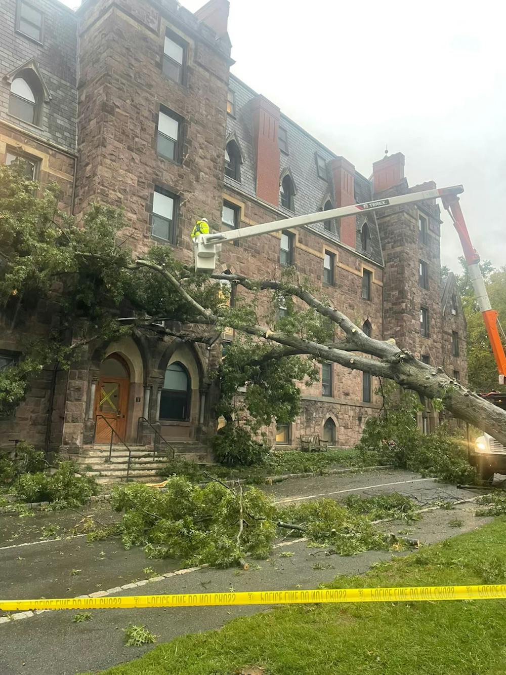 Edwards Hall tree